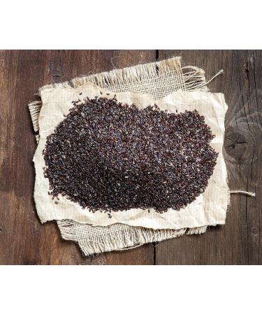 Plantago Psyllium Seeds | Plantago Psyllium L | Psyllium Noir Graine | Health Embassy (100g) - Buy Online on GoSupps.com