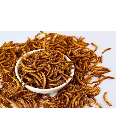 10lbs Non-GMO Dried Mealworms - Ideal for Reptiles, Amphibians, Birds & More - Buy Online on GoSupps.com