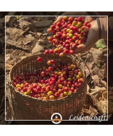  Kaffee Globetrotter Kaffee Globetrotter - Coffee with Heart - Mexico Finca Las Chicharras - 1000g Coarse - For French-Press French Coffee - Premium Fair Trade Coffee Supports Social Projects - Buy Online on GoSupps.com