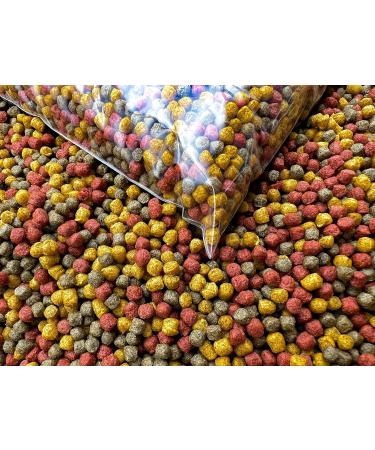 HERONS Koi Trio Pellets 3mm Premium Fish Food - 1Kg | Prebiotic with Spirulina, Omega 3 & Amino Acids | Enhances Color & Growth for Japanese Koi & Pond Fish - Buy Online on GoSupps.com