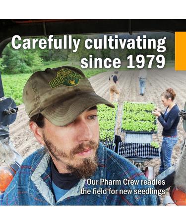 Herb Pharm Organic Skullcap Liquid Extract - Nervous System Support - 1oz - Buy Online on GoSupps.com