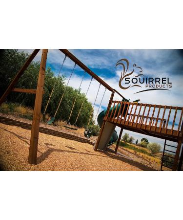 Squirrel Products Heavy Duty Blue Disc Tree Swing with Rope for Outdoor Play - Buy Online on GoSupps.com