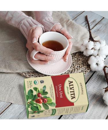 Alvita Organic Uva Ursi Herbal Tea - Premium Quality, Unique Flavor, 24 Tea Bags - Buy Online on GoSupps.com