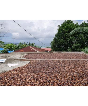 Mandoi Organic Nutmeg - 12 Whole Pieces from Sri Lanka | Premium Quality Nutmeg - Buy Online on GoSupps.com