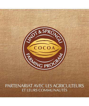 Lindt - Cornet LINDOR - Assortiment de Chocolats Caramel Pointe de Sel - C ur fondant - Optimal pour No l 200g marron et blanc 200g - Buy Online on GoSupps.com