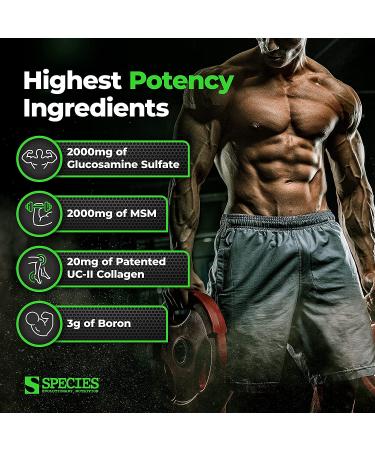 Species Nutrition Arthrolyze Elite - 300 Capsules for Joint Health & Mobility - Buy Online on GoSupps.com