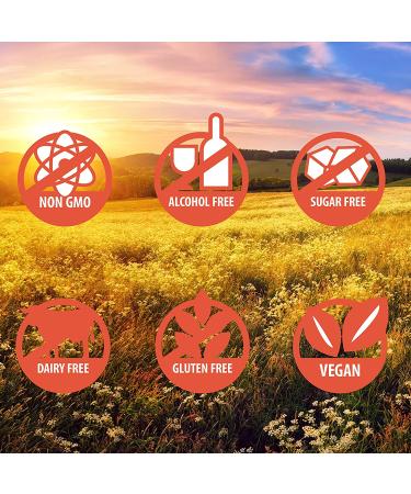 Siddha Remedies Healthy Hair - Hair Growth & Dandruff Treatment | Homeopathic Solution w Cell Salts - Buy Online on GoSupps.com