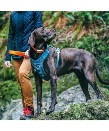 Kurgo Journey Air Dog Harness XL - Padded Chest & Back Handle for Dogs 34-47 kg - Red/Gray - International Shipping - Buy Online on GoSupps.com