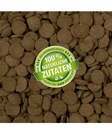 Catfish food for damaged ground fish and ornamental fish in cashmere form - 1 liter - Buy Online on GoSupps.com