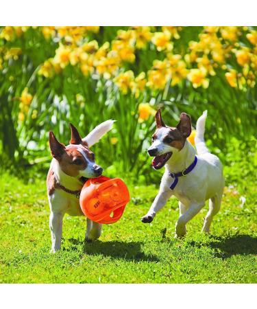 KONG Jumbler Ball: Interactive Fetch Dog Toy with Tennis Ball - Medium/Large Dogs (Assorted Colors) - Buy Online on GoSupps.com
