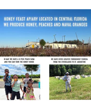 HONEY FEAST Organic Lavender Honey 12oz | Gourmet Flavored Honey for Tea, Cooking & Baking | Florida Beekeeper-Bottled - Buy Online on GoSupps.com