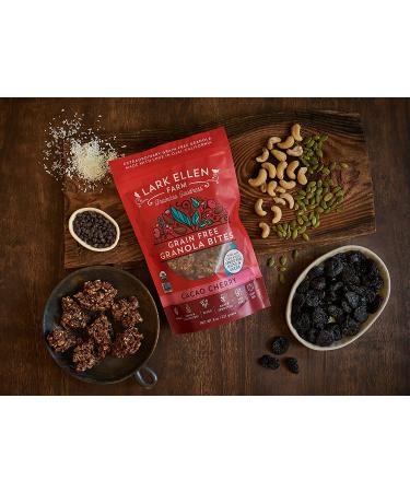 Lark Ellen Farm Organic Paleo Granola Bites - Cacao Cherry 8 oz (Pack of 3) - Buy Online on GoSupps.com