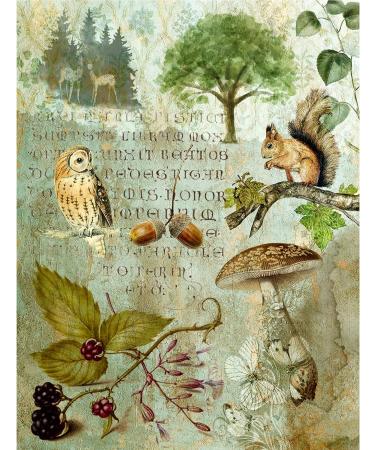 Woodland Theme Mulberry Rice Paper 8x10.5 inch - 6 Unique Designs for Decoupage and Mixed Media Crafts - Buy Online on GoSupps.com