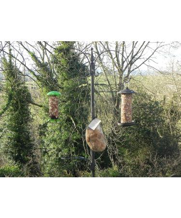 Bird Nesting Material (Alpaca Fibre) Wool Natural Organic - Buy Online on GoSupps.com