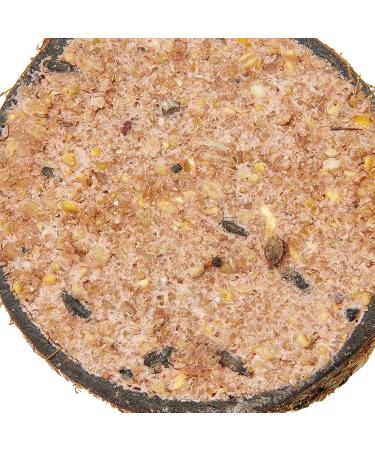 Garden Ting Berry Coconut Suet Halves Wild Bird Treat 400 g Coconut 400 g (Pack of 1) - Buy Online on GoSupps.com