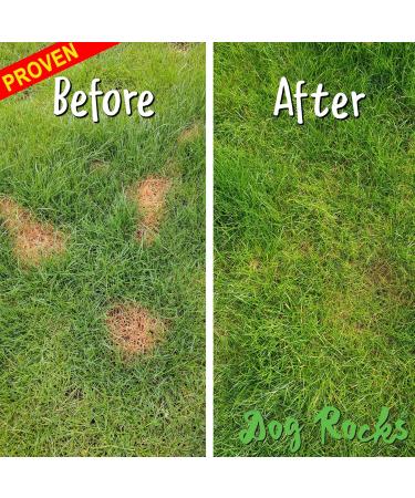 Dog Rocks 100% Natural Urine Patch Preventer - 200g Bag - Buy Online on GoSupps.com