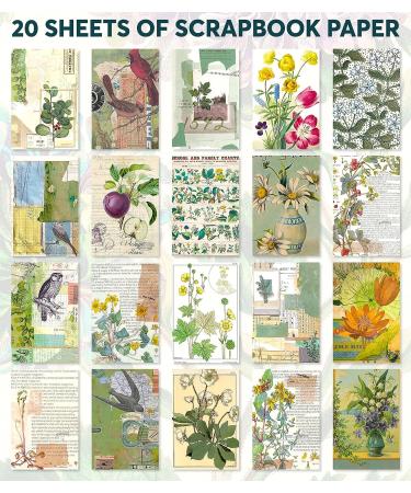 FAYWARE Washi Vintage Stickers and Papers - Botanical Ephemera for Scrapbooking and Journaling | 453 Stickers, 20 Papers | Forest Dreams - Buy Online on GoSupps.com