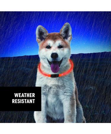Nite Ize NiteHowl LED Safety Necklace - Light Up Dog Necklace with LED Lights - Dog Accessories for Night - Replaceable Batteries Orange - Buy Online on GoSupps.com