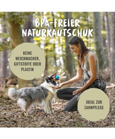 Rudelk nig Dog Ball - Indestructible Natural Rubber - 2-Pack Orange & Blue - 6.5cm - Perfect for Dogs - International Shipping - Buy Online on GoSupps.com