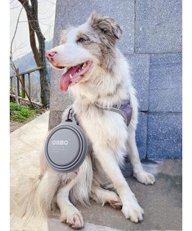 Buy Ohmo Foldable Dog Bowl 800ml - Portable Water Bowl for Medium to Large Dogs Ideal for Travel | Extra Thick & Durable - Buy Online on GoSupps.com