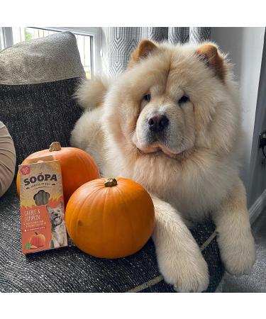 Soopa Pumpkin and Carrot Dental Sticks Dog Treat 100 g - Buy Online on GoSupps.com