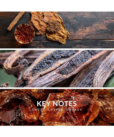 Reyane Tradition Insurrection (Wild) 3.0 fl. oz./ 90 ml. Wild 1 Count (Pack of 1) - Buy Online on GoSupps.com