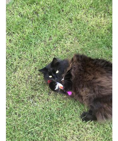 Purrs Dragonfly Prey Attachment- Fits PurrSuit Frenzy & DaBird wand Cat Toys - Buy Online on GoSupps.com