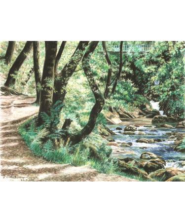 Strathmore 300 Series Bristol Smooth 9x12 Pack of 2 - Buy Online on GoSupps.com