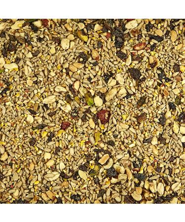 Kaytee 100037169 Ultra Waste Free Nut & Fruit Blend 5.5 oz None - Buy Online on GoSupps.com