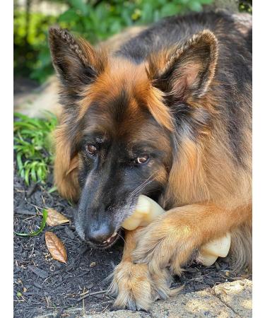 Nylabone Extreme Tough Dog Chew Toy Monster Beef Thigh Cleans Teeth Beef Flavour XXL for Dogs Over 23 kg package may vary - Buy Online on GoSupps.com