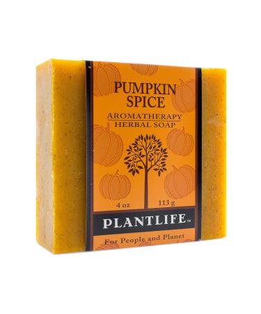 Plantlife Pumpkin Spice Bar Soap - Moisturizing and Soothing Soap for Your Skin - Hand Crafted Using Plant-Based Ingredients - Made in California 4oz Bar 4 Ounce (Pack of 1)