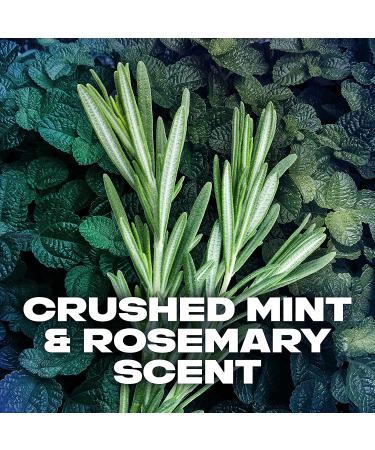 AXE Phoenix Crushed Mint & Rosemary Deodorant for Men 3oz (Pack of 4) | 48H Odor Protection | Aluminum-Free - Buy Online on GoSupps.com