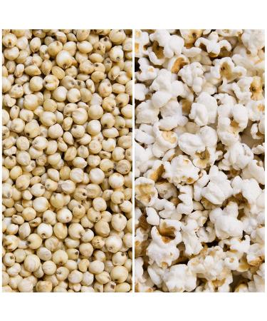 Nature Nate's Organic Popped Sorghum with Avocado Oil and Sea Salt - Keto & Gluten Free Snacks - Made in USA - 5oz (Pack of 6) - Buy Online on GoSupps.com