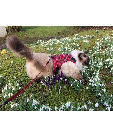 Mynwood Cat Jacket/Harness Royal Stewart Tartan Adult Cat - Buy Online on GoSupps.com