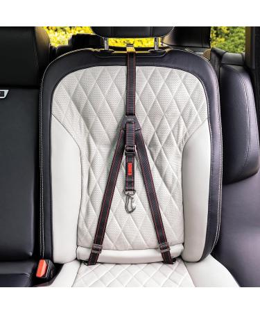 KONG Ultimate Safety Tether - Buy Online on GoSupps.com