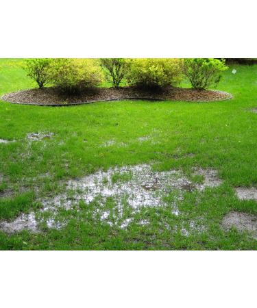 New Formula - 2 Gals. Non-Toxic Septic Drain Field Treatment | Bio-Septic Boost for Hard Pan Soil & Bio-Mat Repair | Maintain Your Septic System - Buy Online on GoSupps.com