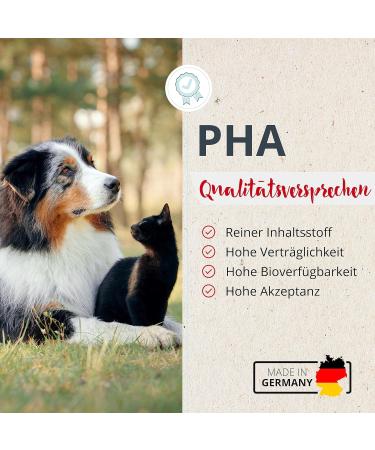 PHA ZahnSchutz Plus: Natural Dental Care Powder for Dogs & Cats - 60g Anti-Tartar Plaque & Bad Breath Solution - Buy Online on GoSupps.com