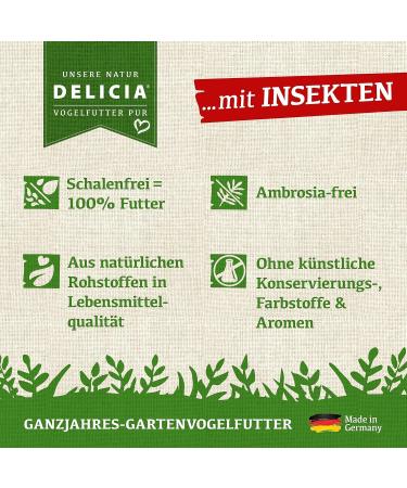 DELICIA Premium Meisenballen with Insects - 30 Hour Hanging Bird Feed Dumplings for Garden & Wild Birds - High-Quality Insect Grain Balls (30 pcs) - Buy Online on GoSupps.com