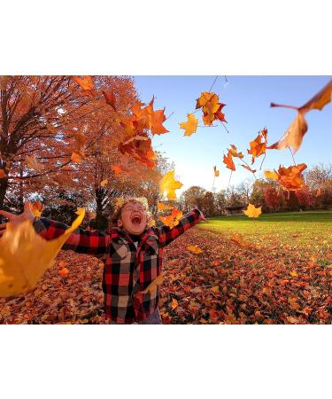 GoPro HERO10 Black - Waterproof 5.3K60 Ultra HD Action Camera with Front LCD, Touch Rear Screens, and Stabilization - Buy Online on GoSupps.com