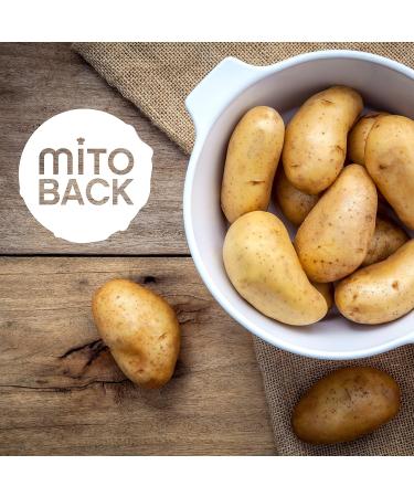 Mitoback Fiber Set for Baking & Cooking | 3x250g Nutrient-Rich Low Carb Keto Vegan Gluten-Free - Bamboo Apple & Potato Fiber Alternative - Buy Online on GoSupps.com