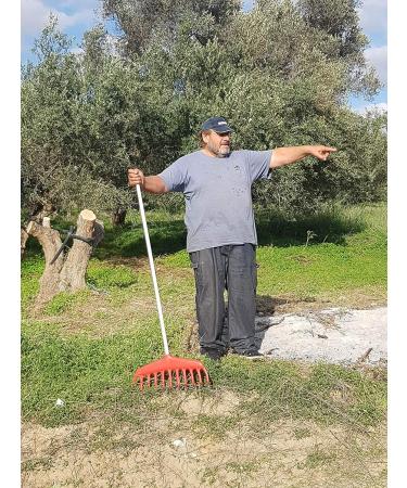 Buy Oleum Crete PDO Messara 1000ml - Award-Winning Mildly Fruity Olive Oil from Crete | International Shipping Available - Buy Online on GoSupps.com