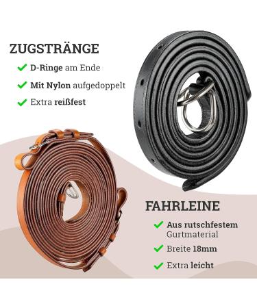 Esposita Professional Carriage Dishes for Shetty Pony & Horse - Mini to XL Cold Blood - Black & Red - Buy Online on GoSupps.com