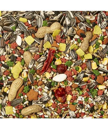 Buy Kaytee Forti-Diet Pro Health Parrot Food - Nutrient-Rich Diet for Healthy Birds - Buy Online on GoSupps.com