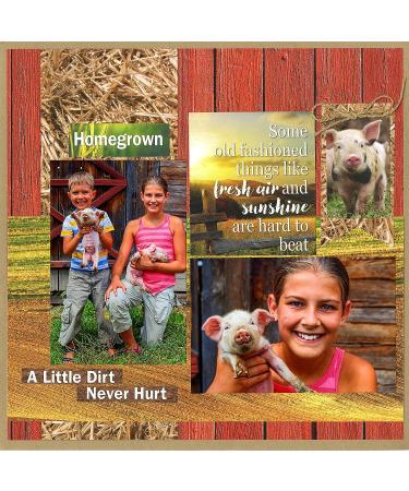 Reminisce ATF-200 at The Farm Scrapbook Collection Kit - Ideal for Capturing Memories - Buy Online on GoSupps.com