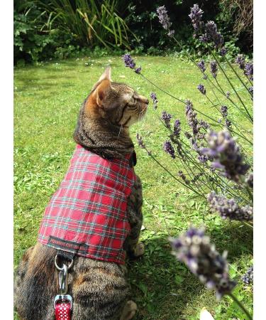 Mynwood Cat Jacket/Harness Royal Stewart Tartan Adult Cat - Buy Online on GoSupps.com