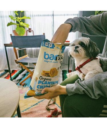 Barnana Organic Salt & Vinegar Plantain Chips - Crunchy Snack - 5 oz - Buy Online on GoSupps.com