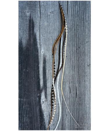 Buy Grizzly Extensions Feather Extensions 1x EasyIn Nature - Best Quality International Shipping - Buy Online on GoSupps.com