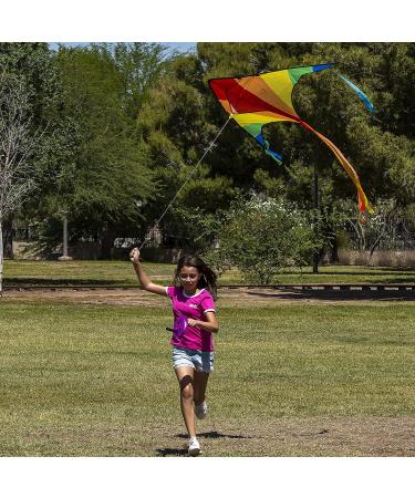 JOYIN Large Delta Kite 2-Pack - Easy-to-Fly Green and Rainbow Kites for Kids and Adults | Includes 262.5 ft Kite String | Perfect for Outdoor Games - Buy Online on GoSupps.com