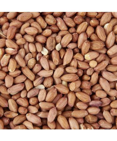 Garden Ting Premium Peanut Kernels Wild Bird Food Tub 3 Litre Peanut 3 l (Pack of 1) - Buy Online on GoSupps.com