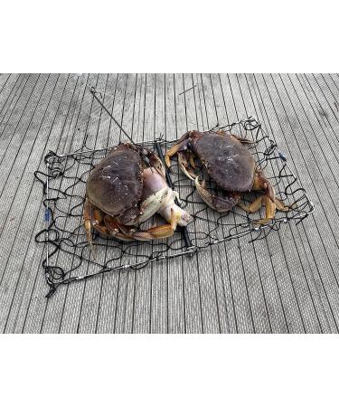AirFly Foldable Castable Crabjaw Trap with Bait Clip - Durable & Convenient Design | 1pc - Buy Online on GoSupps.com